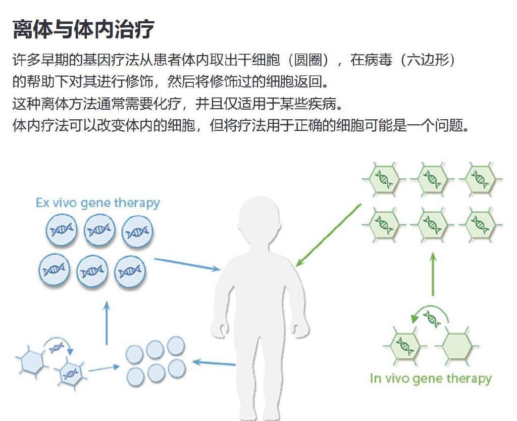 当今大多数基因疗法依赖于病毒